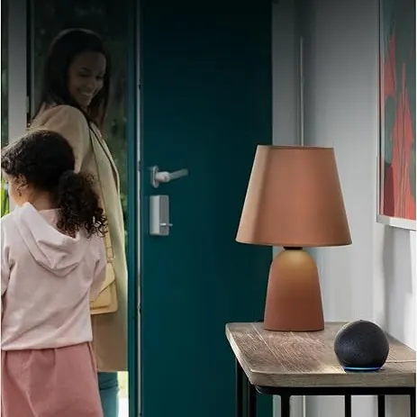 Altavoz Echo en una mesa auxiliar de entrada como ejemplo de compra equilibrada para casa