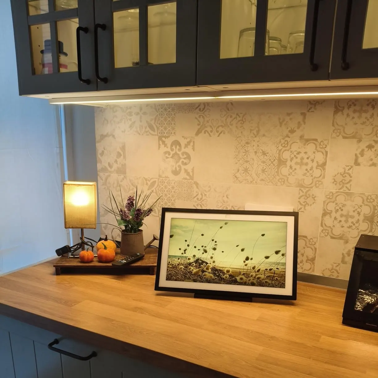 Pantalla Echo Show colocada en una cocina sobre la encimera